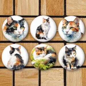 Calico Cat Fridge Magnets Set Of 6 Metal Magnets For Home Office Kitchen School